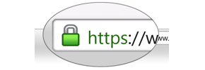 Web Site Hosting